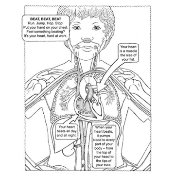 My First Human Body Book for Kids - Fun Learning Gift