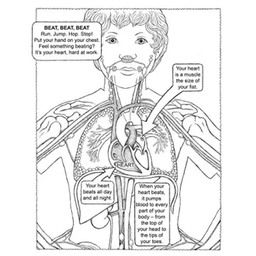 My First Human Body Book for Kids - Fun Learning Gift