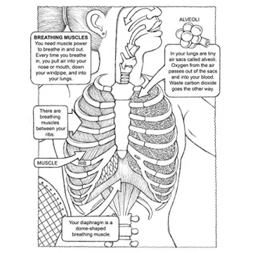 My First Human Body Book for Kids - Fun Learning Gift