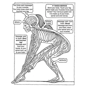 My First Human Body Book for Kids - Fun Learning Gift