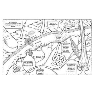 My First Human Body Book for Kids - Fun Learning Gift