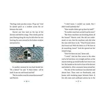 Catwings Return: A Magical Adventure for Kids