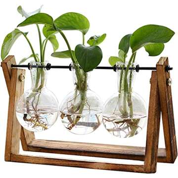 Stylish Hydroponic Tabletop Terrarium Planter