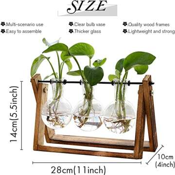 Stylish Hydroponic Tabletop Terrarium Planter