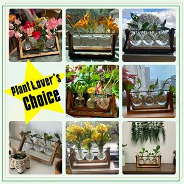 Stylish Hydroponic Tabletop Terrarium Planter