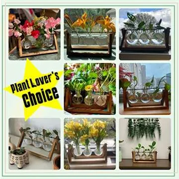 Stylish Hydroponic Tabletop Terrarium Planter