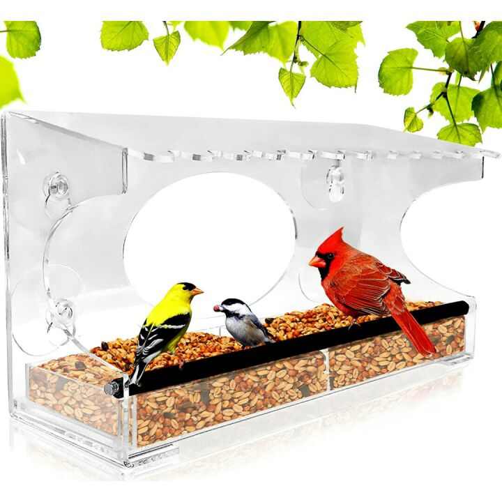 XL Window Bird Feeder with Steel Perch & Roof