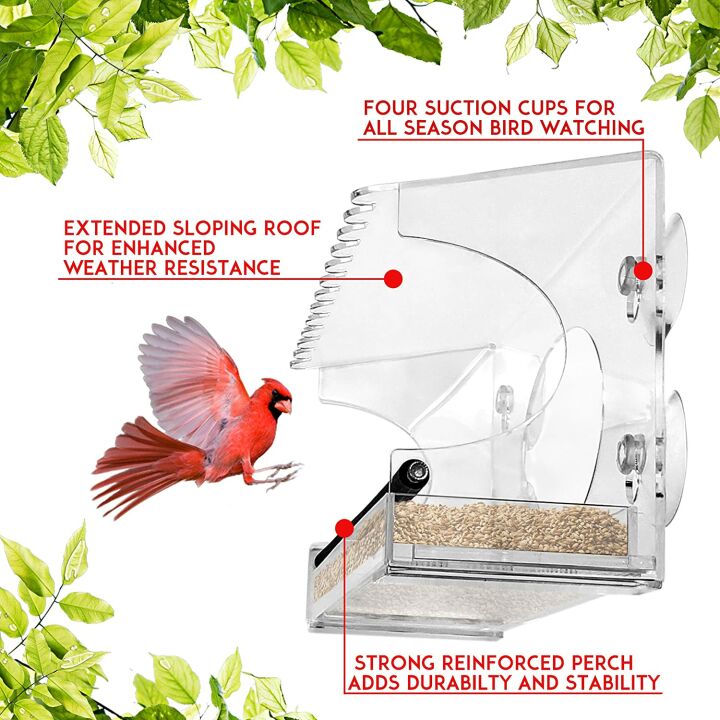 XL Window Bird Feeder with Steel Perch & Roof