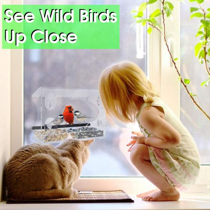 XL Window Bird Feeder with Steel Perch & Roof