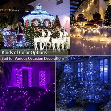 Brizled RGB 500 LED Color Changing Christmas Lights Remote
