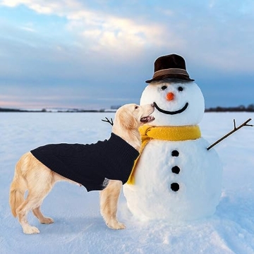 Mihachi Turtleneck Dog Sweater - Winter Coat Apparel Classic Cable Knit Clothes with Leash Hole for Cold Weather, Ideal Gift for Pet in New Year Medium