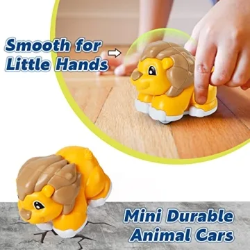 Animal Car Toy Gift with Playmat for 1-Year-Olds