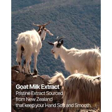 hetras. Perfume Bubble Hand Wash 17.4 fl oz, Pack of 2 | Foaming Hand Soap (Hotel Wood)