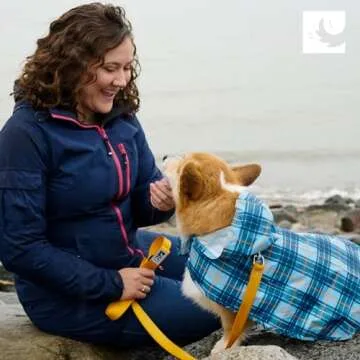 RC Pets Packable Rain Poncho, Dog Coat, Large, Raindrops