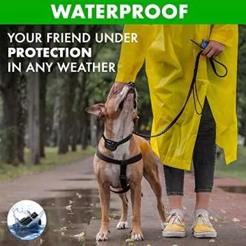 Dog Training Collar with Remote - Rechargeable & Waterproof