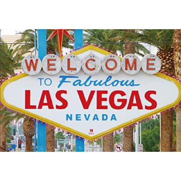 LFEEY 5x3ft Las Vegas Party Decorations Casino Theme Photography Backdrop for Photoshoot