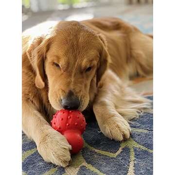 Nylabone Rubber Stuffable Cone Strong Chew Toy for Dogs, Dog Toys for Moderate & Aggressive Chewers,...