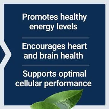 Life Extension L-Carnitine 500 mg Energy Memory Supplement