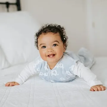 HALO SleepSack Micro-Fleece Wearable Blanket Safe Baby Sleep