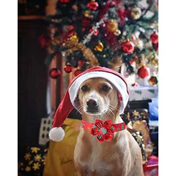 Elegant little tail Christmas Dog Collar, Female or Male Dog Collar Flower, Pet Collar Adjustable Dog Collars with Flower for Small Medium Large Dogs