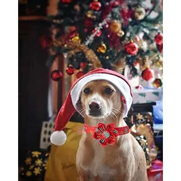 Elegant little tail Christmas Dog Collar, Female or Male Dog Collar Flower, Pet Collar Adjustable Dog Collars with Flower for Small Medium Large Dogs