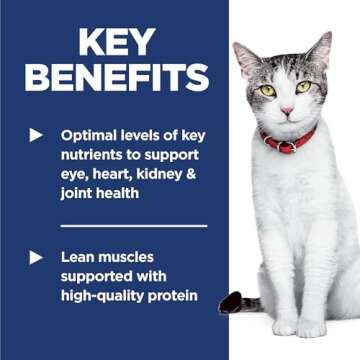 Hill's Science Diet 11+ Dry Cat Food for Seniors