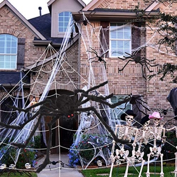 Giant Halloween Spider Web & 59" Spider Decoration