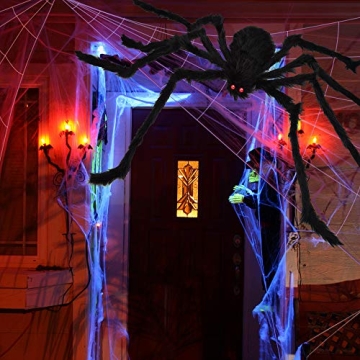Giant Halloween Spider Web & 59" Spider Decoration