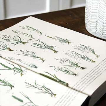 The History of the World in 100 Plants to Enrich Your Knowledge