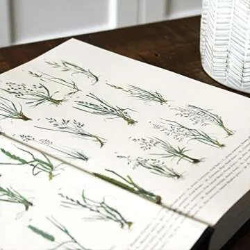 The History of the World in 100 Plants to Enrich Your Knowledge