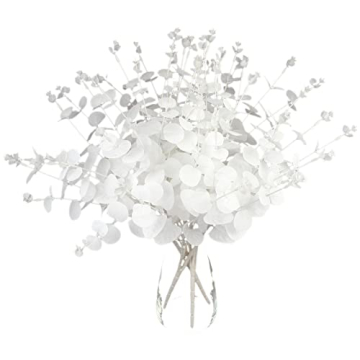 Stunning Eucalyptus Stems for Elegant Home Décor