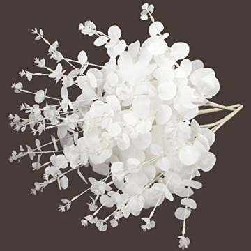 Stunning Eucalyptus Stems for Elegant Home Décor