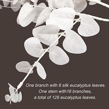 Stunning Eucalyptus Stems for Elegant Home Décor