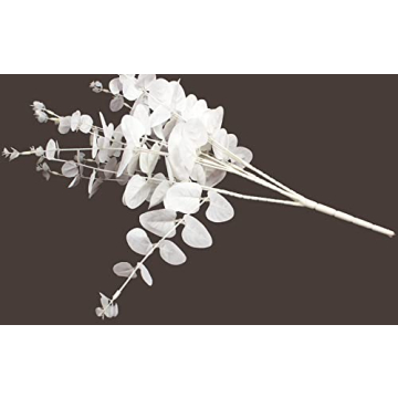 Stunning Eucalyptus Stems for Elegant Home Décor