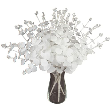 Stunning Eucalyptus Stems for Elegant Home Décor