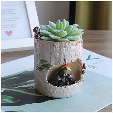 Segreto Creative Mini Bear Planter for Succulents and Decor