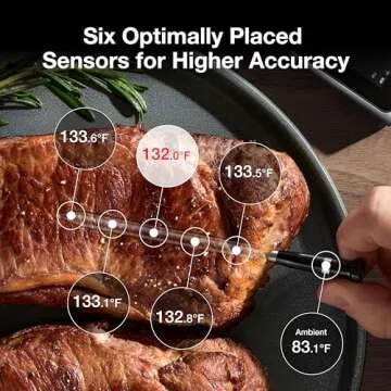 Typhur Sync Wireless Meat Thermometer - Top Picks for Precision Cooking