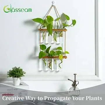 Hanging Propagation Station with Wooden Frame & Glass Vases