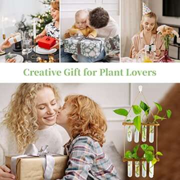 Hanging Propagation Station with Wooden Frame & Glass Vases