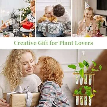 Hanging Propagation Station with Wooden Frame & Glass Vases