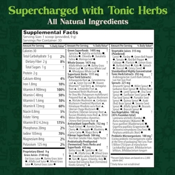 Dragon Herbs Superfood Greens with 91 Ingredients - Tonic Alchemy