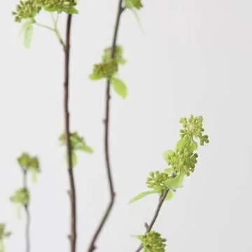 Stunning 40" Artificial Branch with Green Buds for Decor