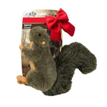 ALL FOR PAWS Classic Squirrel Pet Toys, Small