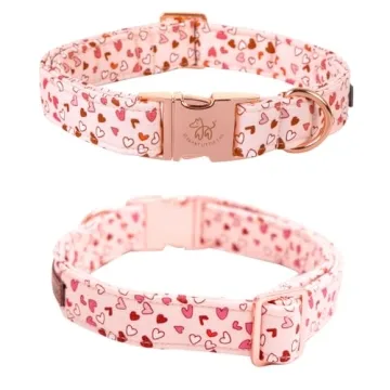 Elegant Little Tail Pink Heart Dog Collar for Medium Dogs