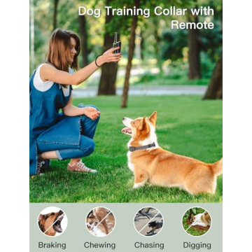 Airverse Waterproof 3300 ft Dog Shock Collar Training