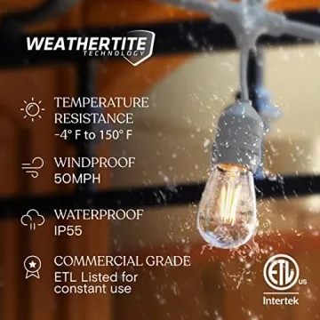 Brightech Ambience Pro Waterproof LED Outdoor String Lights 48ft