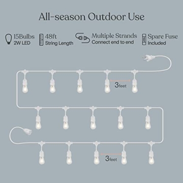 Brightech Ambience Pro Waterproof LED Outdoor String Lights 48ft