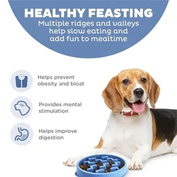 Outward Hound Fun Feeder Bowl for Healthy Eating