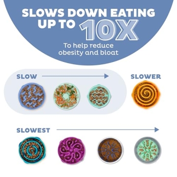 Outward Hound Fun Feeder Bowl for Healthy Eating