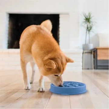 Outward Hound Fun Feeder Bowl for Healthy Eating